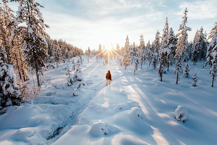 Kinh nghiệm du lịch Lapland Phần Lan trọn bộ 