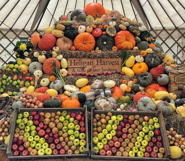 lễ hội thu hoạch - lễ hội ở Cộng hòa Séc ấn tượng