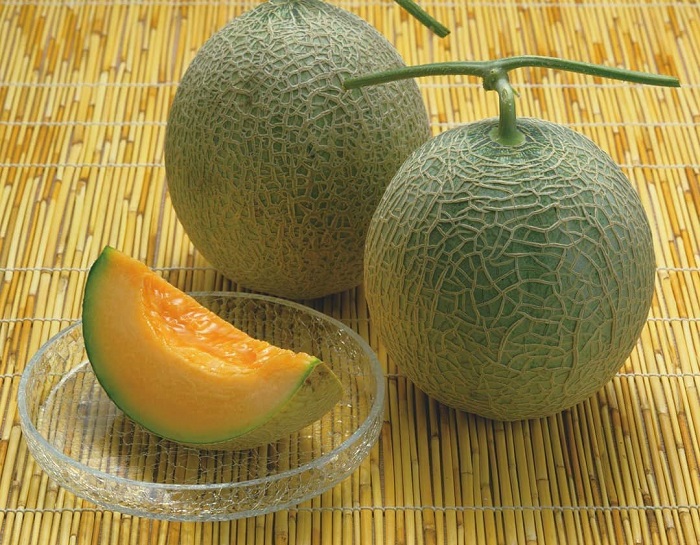 Hokkaido delicacies - Yubari melons
