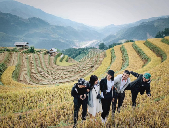mùa hoa Sơn tra Yên Bái - check in ruộng bậc thang