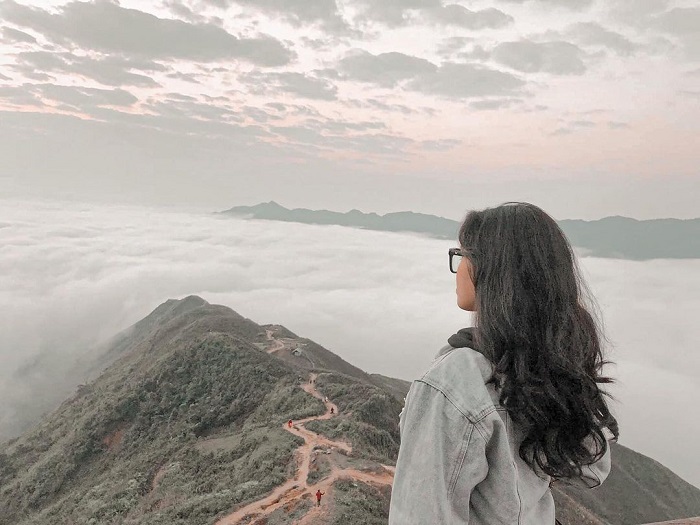 mùa hoa Sơn tra Yên Bái - săn mây