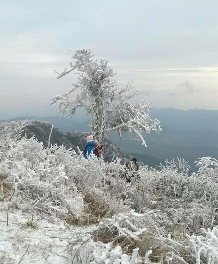 địa điểm ngắm băng tuyết tại Việt Nam -cao-bang-dieu_linh98
