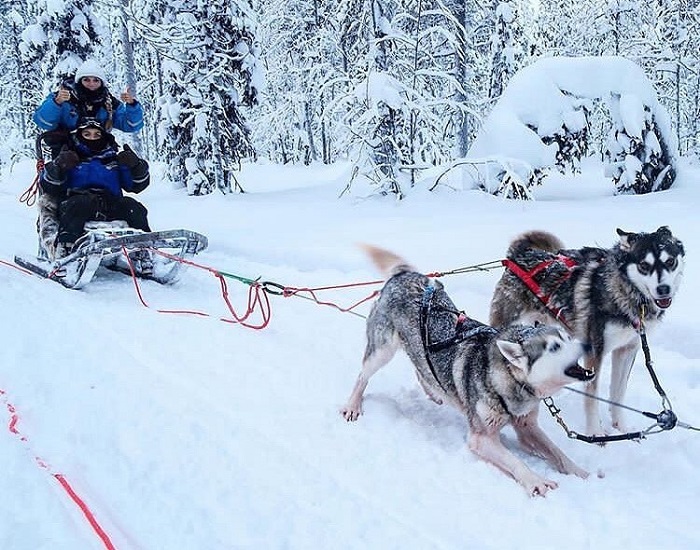 Kinh nghiệm du lịch Lapland Phần Lan cần chú ý gì