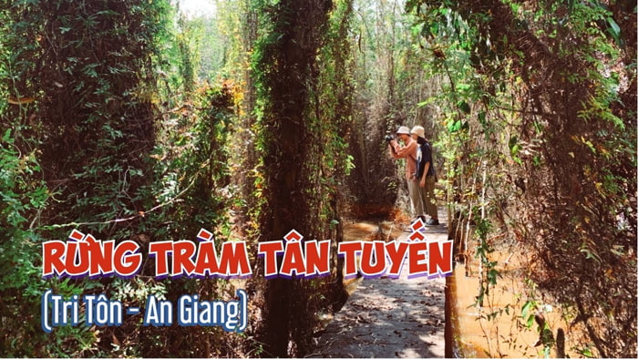 Khám phá rừng tràm Tân Tuyến An Giang - hệ thống lán trại quân đội