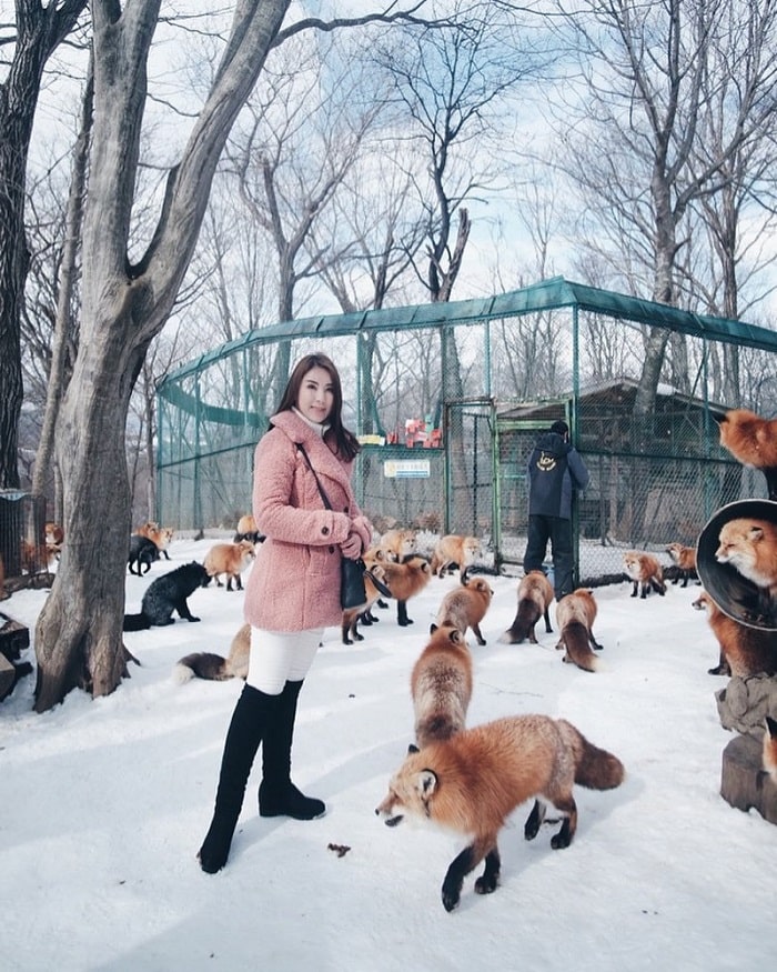 Zao fox village - unique animal sanctuary