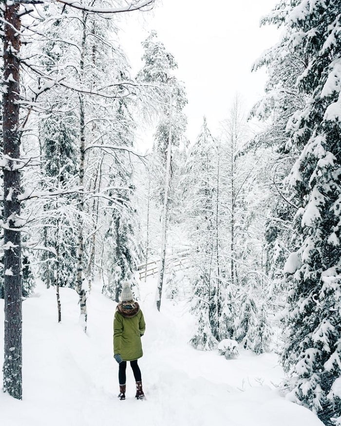 Kinh nghiệm du lịch Lapland Phần Lan - lựa chọn thời gian đến 