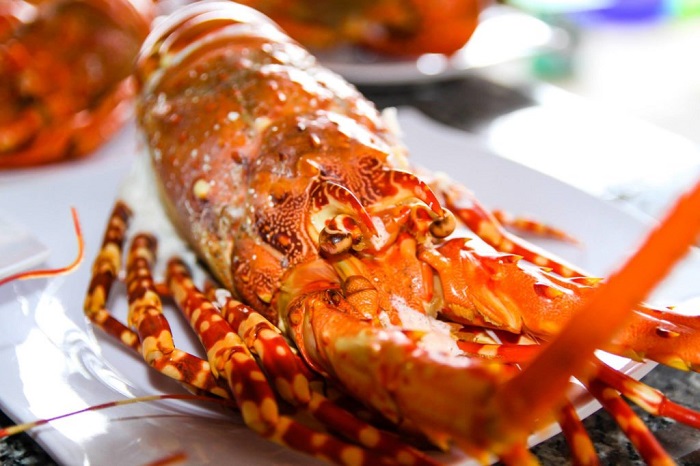 Con Dao fire lobster - a rare seafood variety