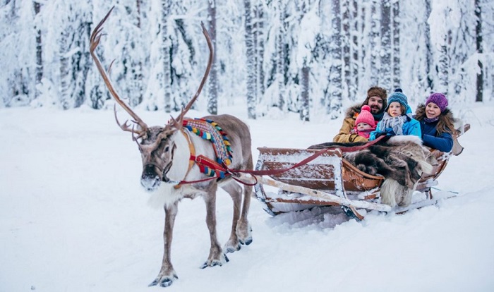 Kinh nghiệm du lịch Lapland Phần Lan - trải nghiệm cưỡi tuần lộc 