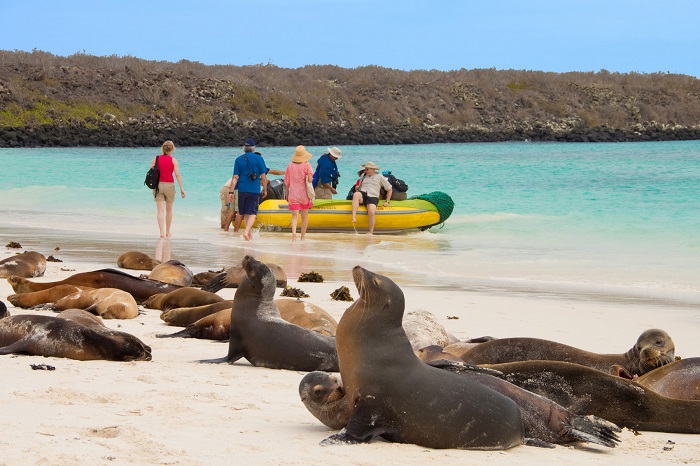 Đảo Fernandina  du lịch quần đảo Galapagos