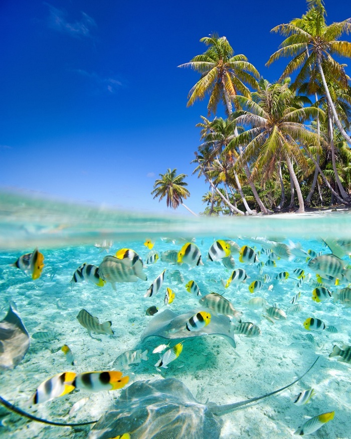 Bora Bora là nơi có những bãi biển lãng mạn trên thế giới