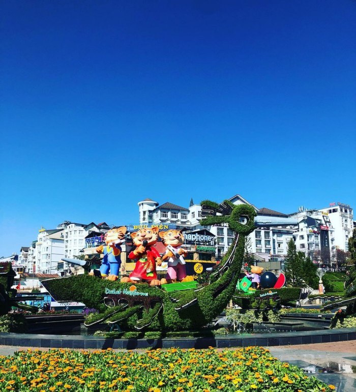Travel experience in Dalat, Lunar New Year, weather