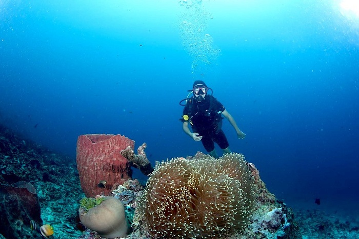 Trải nghiệm lặn biển trên đảo Bunaken Indonesia
