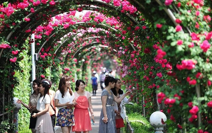 Rose Park là địa điểm vui chơi ở quận Long Biên