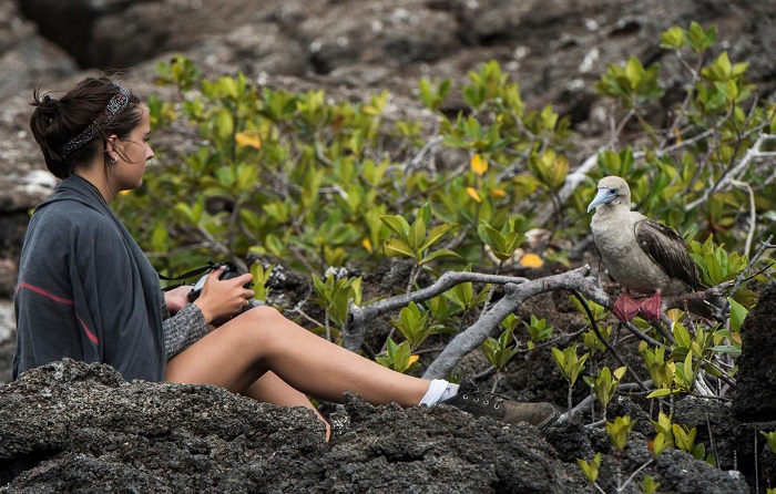Đảo Genovesa  du lịch quần đảo Galapagos