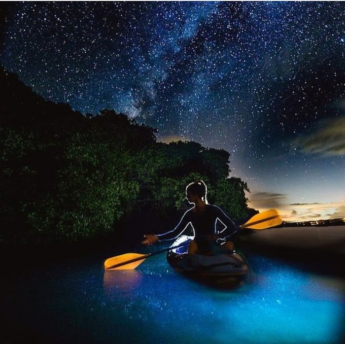 Hầu hết các cuộc phiêu lưu sinh thái này đều được thực hiện bằng thuyền kayak - du lịch vịnh Mosquito