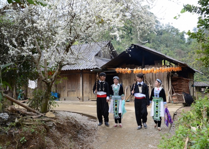 Gia Khau village 1 Lai Chau is where the Mong people live