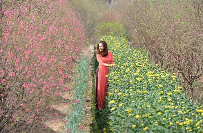 Vườn đào Nhật Tân là địa điểm chụp ảnh áo dài đón Tết được nhiều người yêu thích