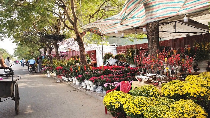địa điểm chụp ảnh Tết ở Hải Phòng - chợ hoa 