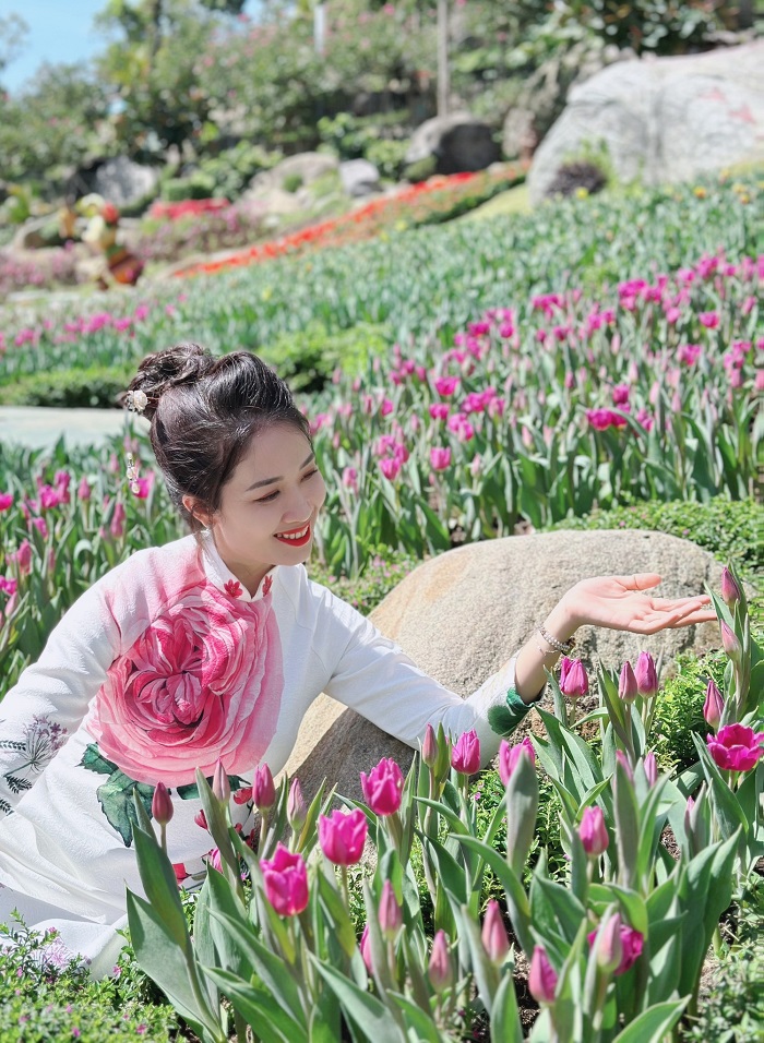 Địa điểm ngắm hoa tulip ở Việt Nam thu hút nhiều du khách check in