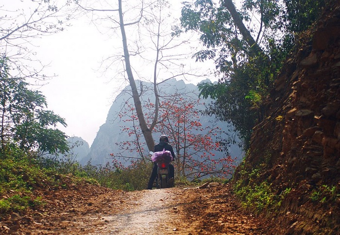 Exploring the Ha Giang Pass takes visitors through beautiful roads