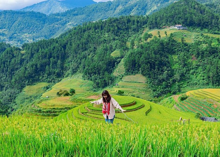 Đây là một ngọn đồi đẹp ở Việt Nam chỉ cần đứng vào là có ảnh đẹp mang về