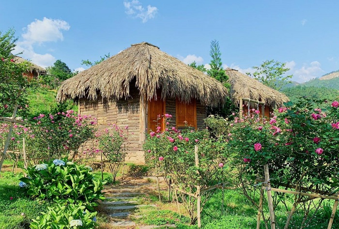 Rose Farmstay với những bungalow nhỏ xinh bằng gỗ