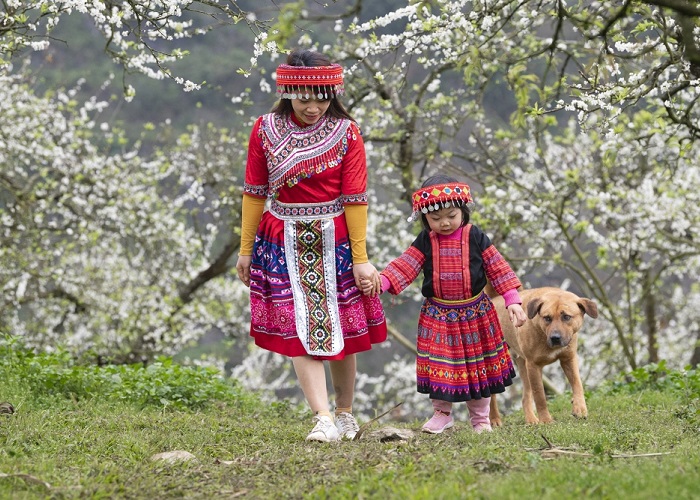 Dịp Tết người Mông thường mặc trang phục đẹp du xuân