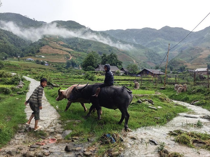 Ta Phin is a Sapa community tourism village located 13km from the center