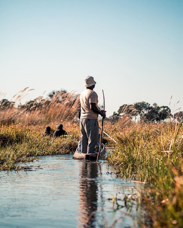 Okavango là đầm lầy đẹp trên thế giới là nơi mà bạn nên một lần ghé thăm