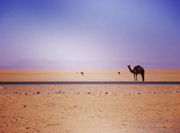 Sa mạc trong lục địa Yemen - du lịch Yemen