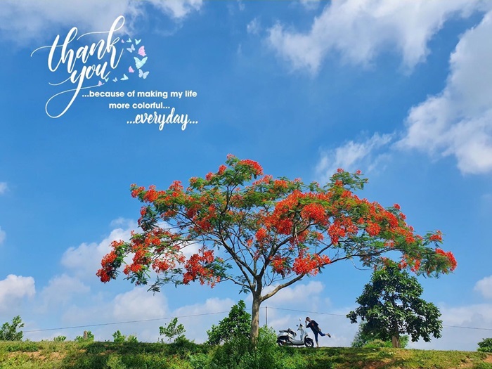 điểm du lịch Thạch Thành Thanh Hoá - điểm đến