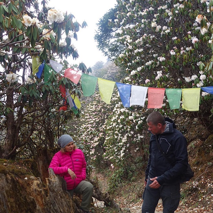 Nepal là điểm ngắm hoa đỗ quyên trên thế giới thu hút nhiều du khách
