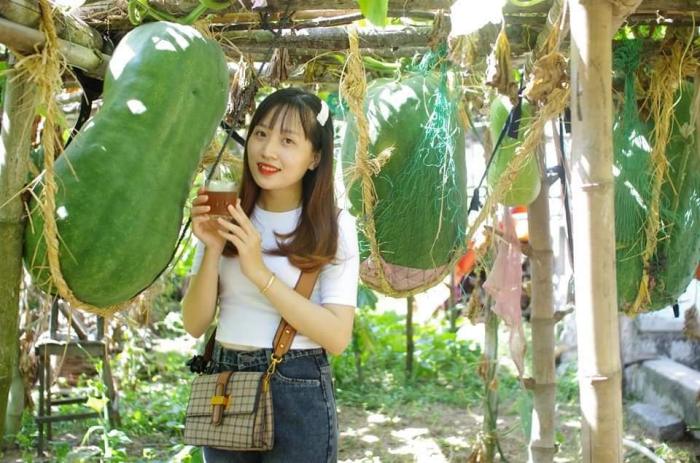 Travel to Phu My Binh Dinh to Giant Winter Melon Village