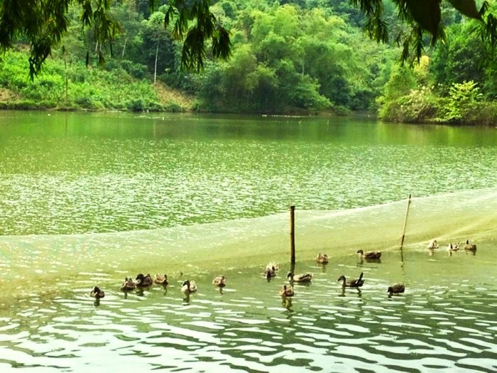 Hồ Chóp Dù Yên Bái mang lại nhiều trải nghiệm thi vị cho du khách