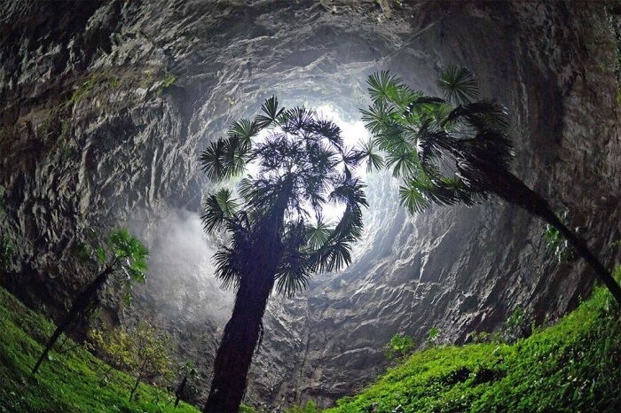 Hố Xiaozhai là hố tử thần sâu nhất thế giới sở hữu hệ sinh thái đa dạng bên trong