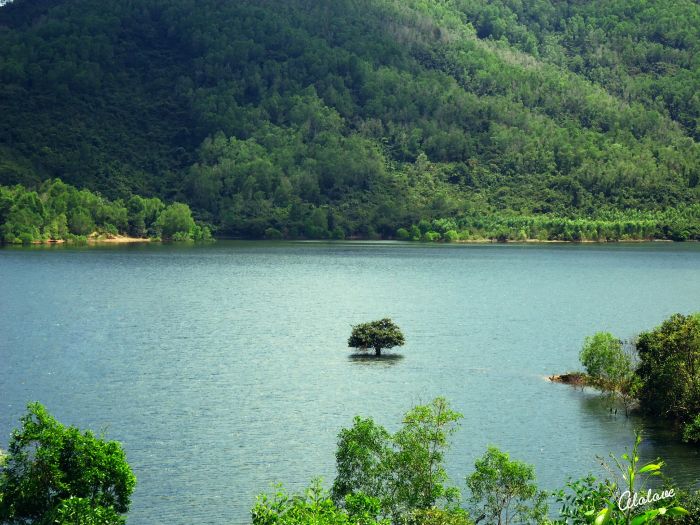 Xuan Binh Lake, Phu Yen