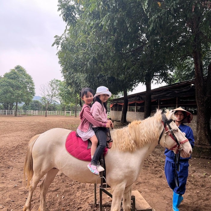 khu dã ngoại gần Hà Nội cho trẻ em - Detrang Farm