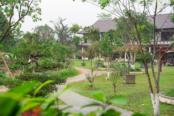 Every corner of Thai Nguyen Lotus Lake ecological area is peaceful
