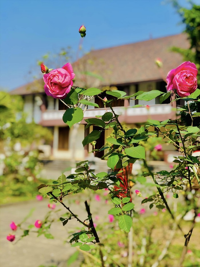 Thai Nguyen Lotus Lake Ecological Area provides comfortable accommodation