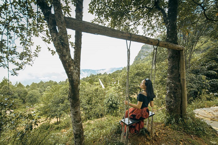 Lakaz Glamping Lào Cai nằm giữa rừng cây xanh mát