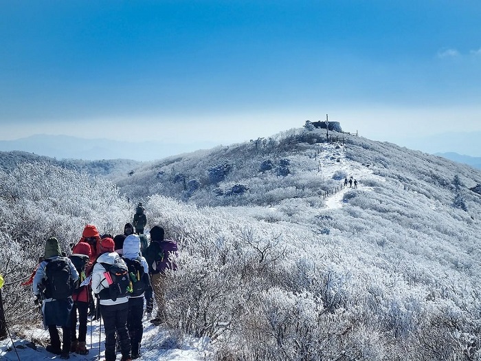 Taebaeksan là lễ hội băng tuyết trên thế giới vô cùng ấn tượng 