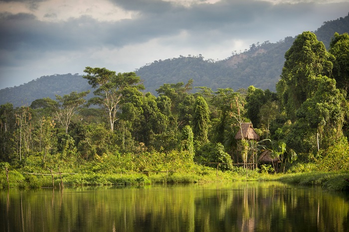 Hồ Salvador là điểm tham quan ở rừng nhiệt đới Manu