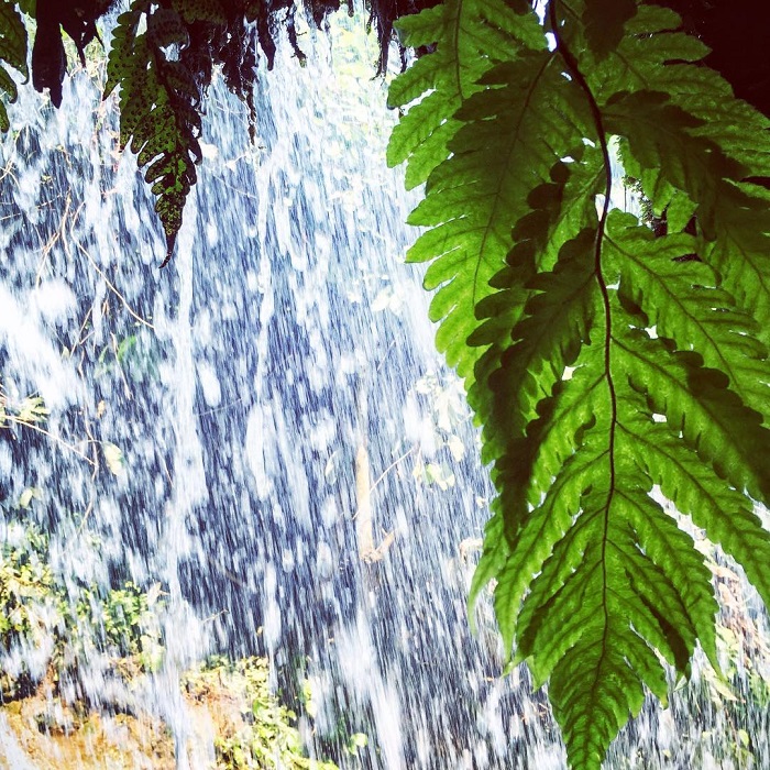 Pung Mai Chau Waterfall is a naturally cool destination