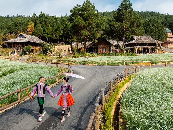 The Nordic Village Sơn La có không gian rộng rãi xinh đẹp