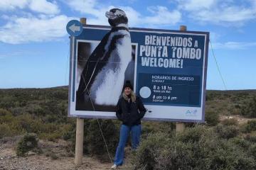 Khu bảo tồn quốc gia Punta Tombo: nơi tốt nhất để ngắm chim cánh cụt ở Argentina