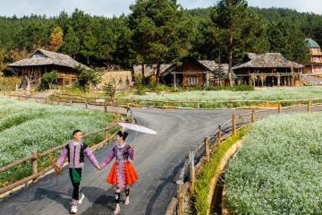 The Nordic Village Sơn La: 'ngôi làng Bắc Âu' cạnh rừng thông Hua Tạt