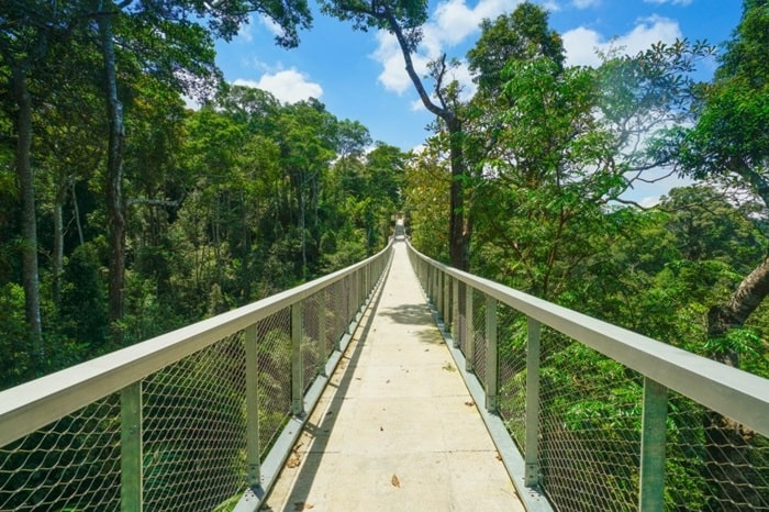 Langur Way Canopy Walk - trải nghiệm ở The Habitat Penang Hill