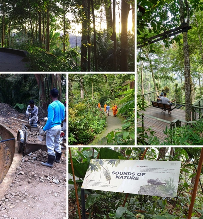 Con đường tự nhiên 1,6km - trải nghiệm ở The Habitat Penang Hill 