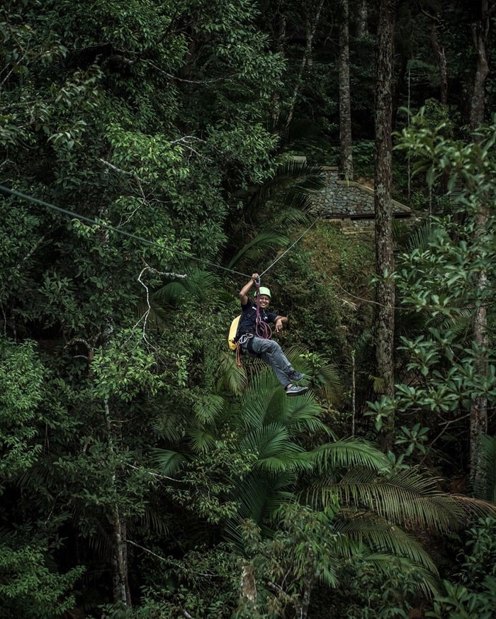 Đường trượt Zipline Flight of The Colugo - trải nghiệm The Habitat Penang Hill 
