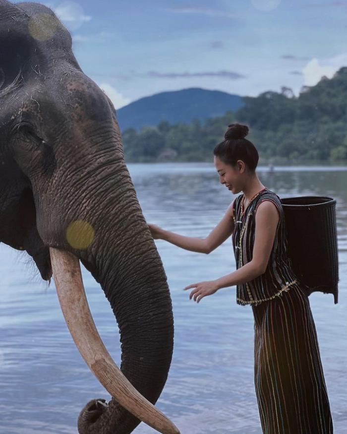 du lịch thân thiên với voi  trải nghiệm ở hồ Lắk 